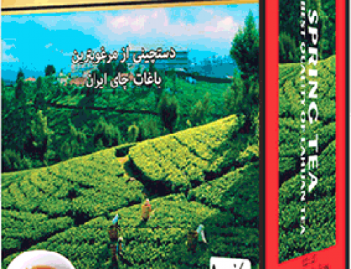 چای سرگل و چای دستچین صادراتی لاهیجان عطا 500گرمی