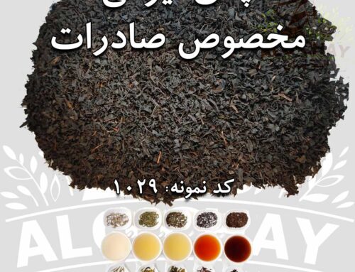 الوچای خرید فروش چای ایرانی _ چای لاهیجان مخصوص صادرات کد1029