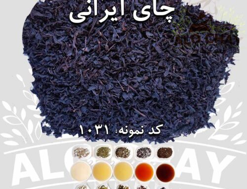 الوچای خرید فروش چای ایرانی _ چای لاهیجان مخصوص صادرات کد1031